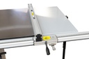 panel saw (TS315VF2000_230V, HOLZMANN) (9)