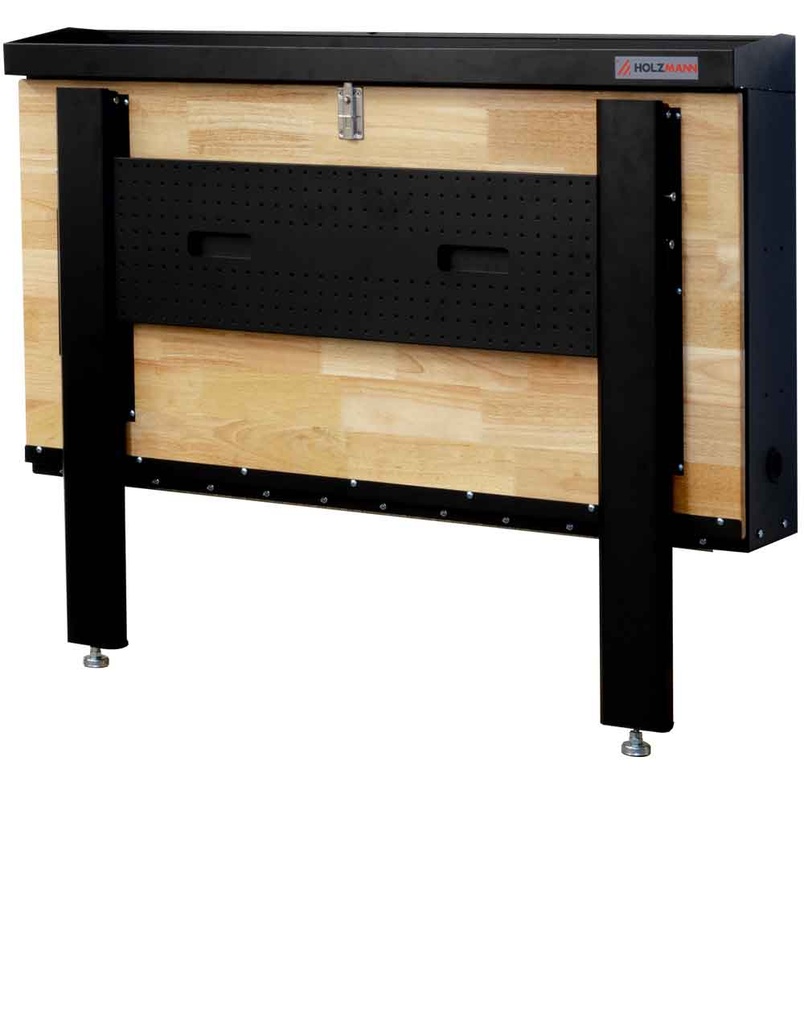 WALL MOUNTED WORKBENCH (WB120FOLD, HOLZM (2)