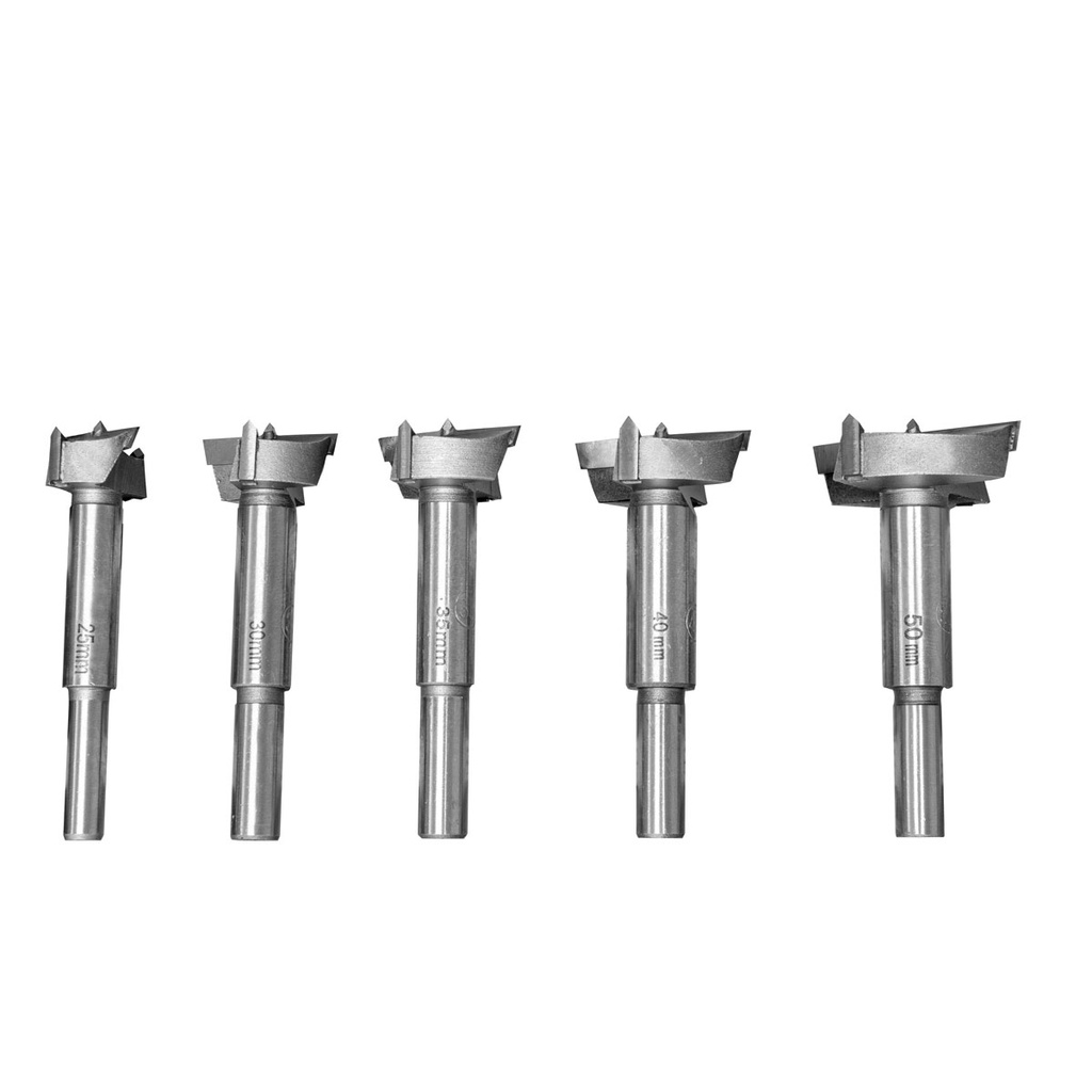 universal bits set with HM mounting (FBS (2)