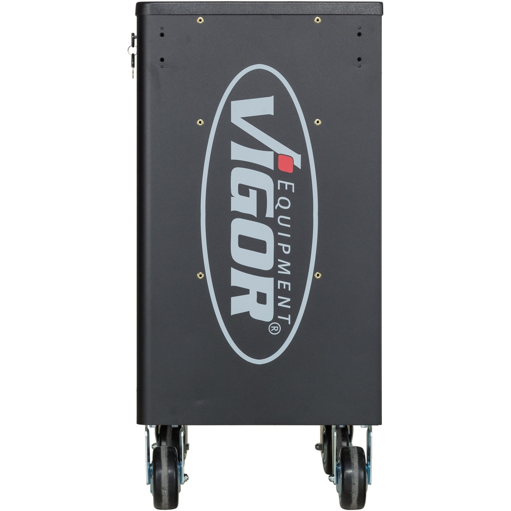 Series L V1901/376, VIGOR (3)