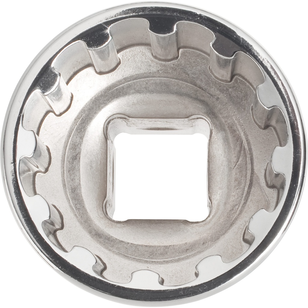 Socket V2001, VIGOR (2)