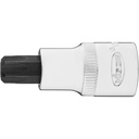 Socket V2198N, VIGOR (3)