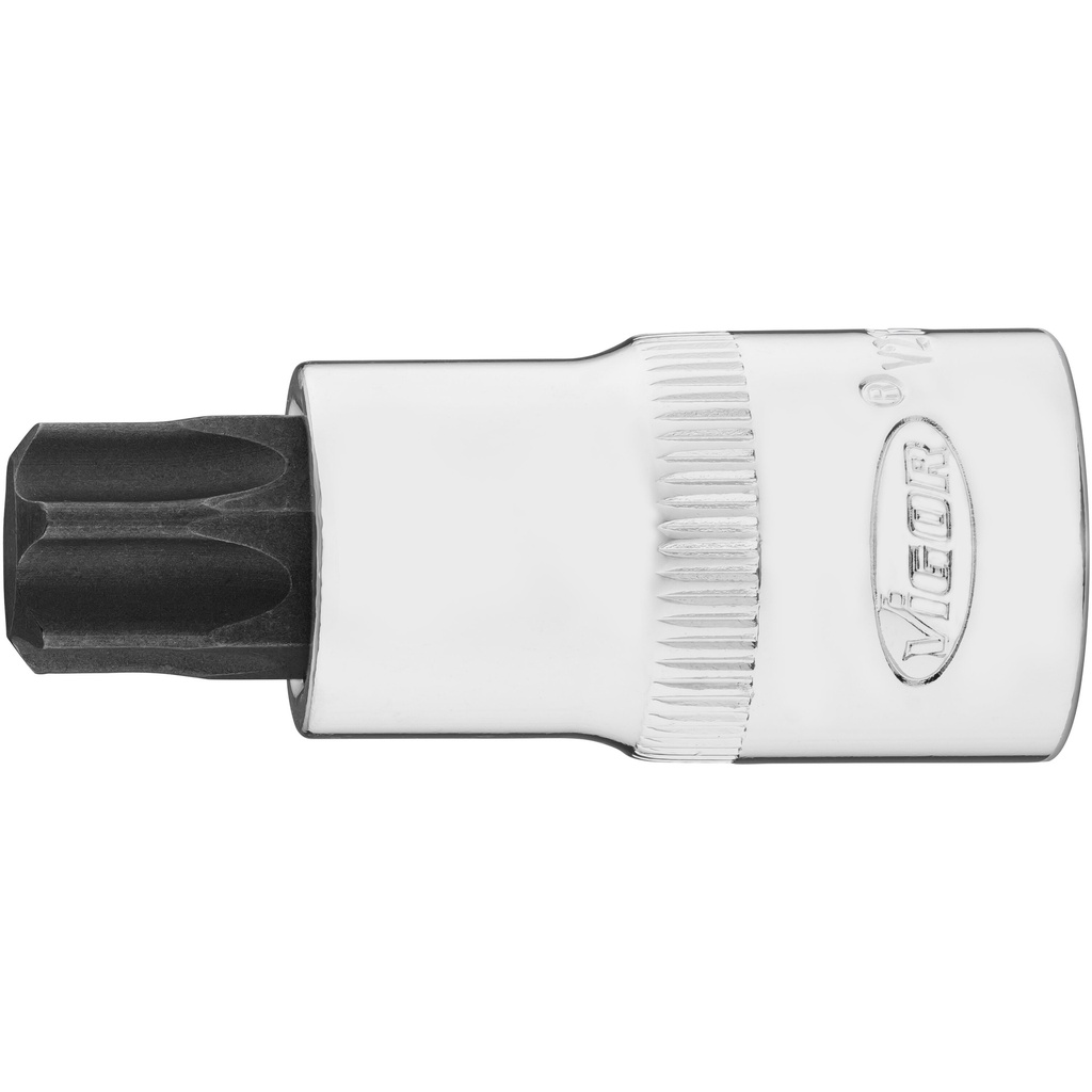 Socket V2199N, VIGOR (3)