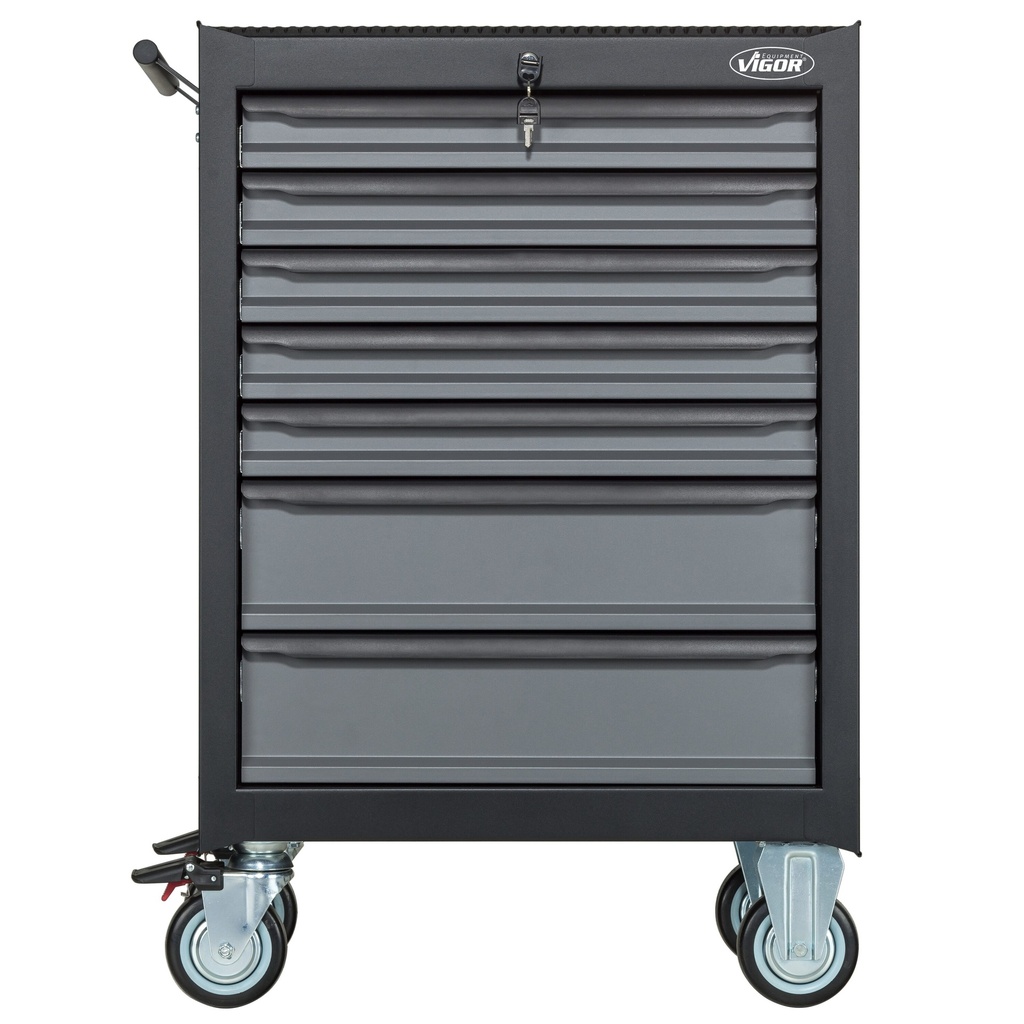 Series M V2379N, VIGOR (6)