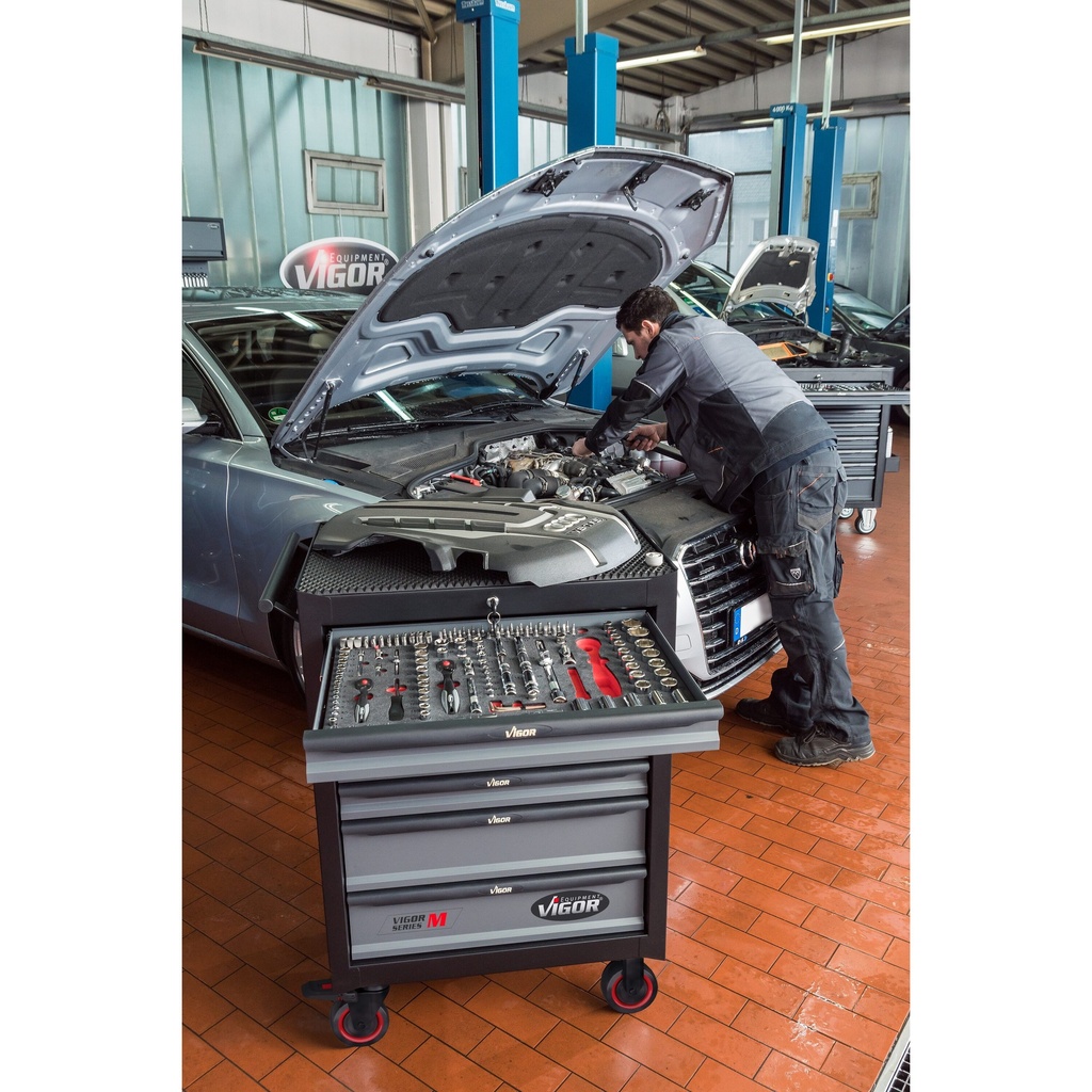 Series M V2379N/210, VIGOR (4)
