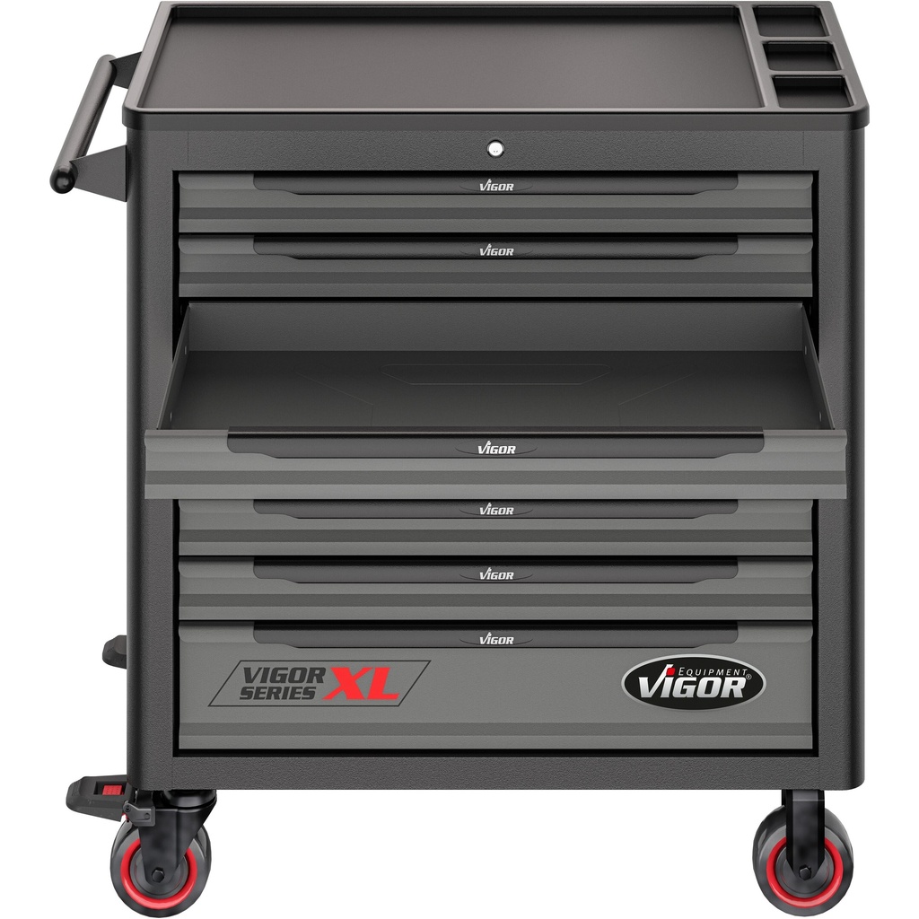 Series XL V4481, VIGOR (5)