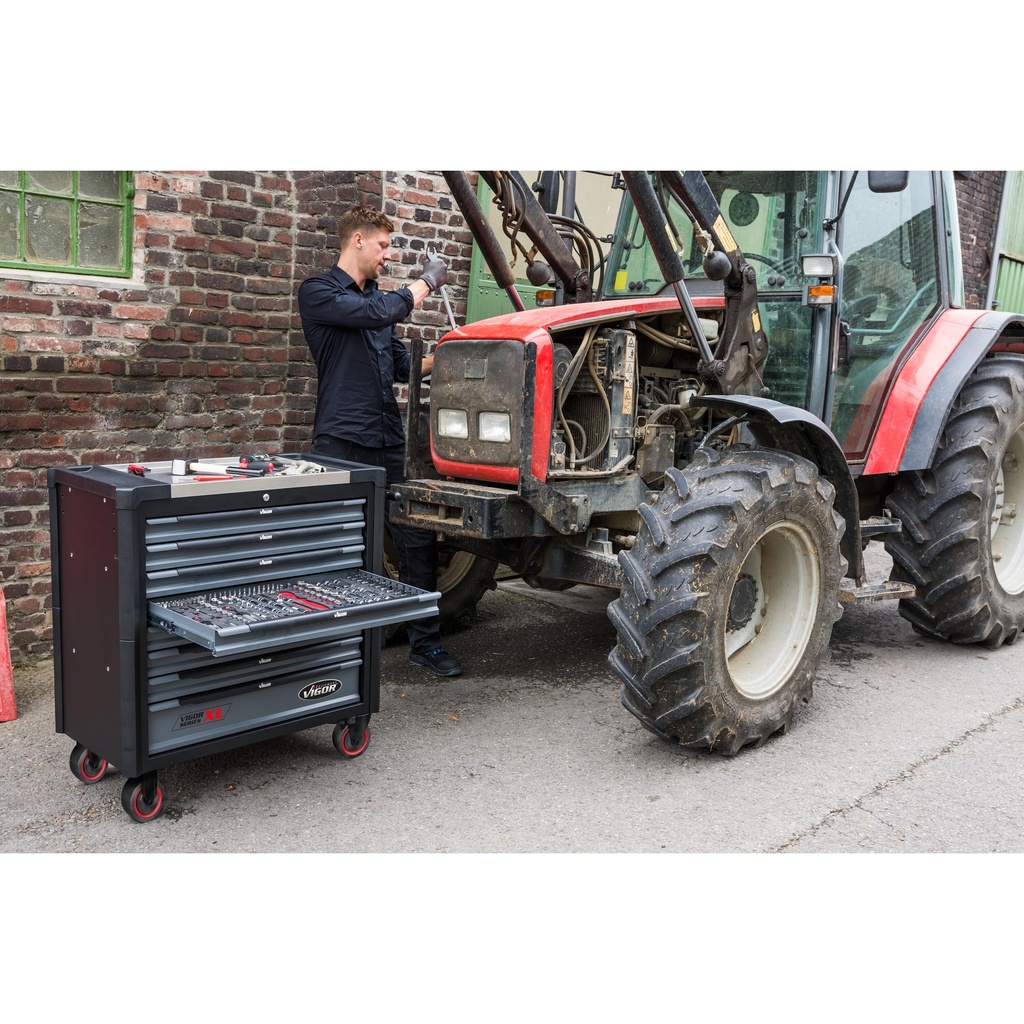 Series XL V4481-X/375, VIGOR (5)