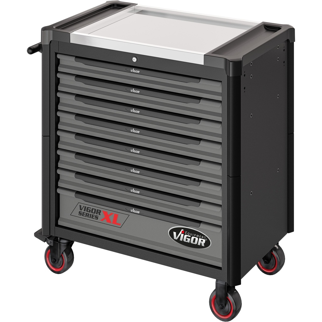 Series XL V4481-X/375, VIGOR (6)