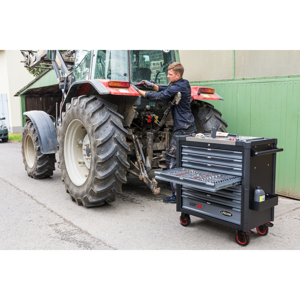 Series XL V4481-X/466, VIGOR (4)