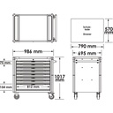 Series XD V4481-XD, VIGOR (2)