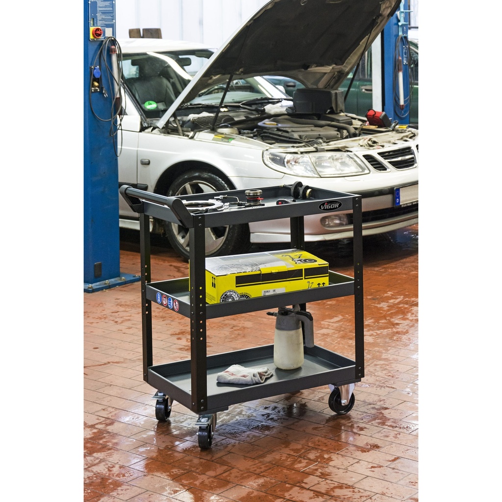 Service trolley V4758, VIGOR (5)