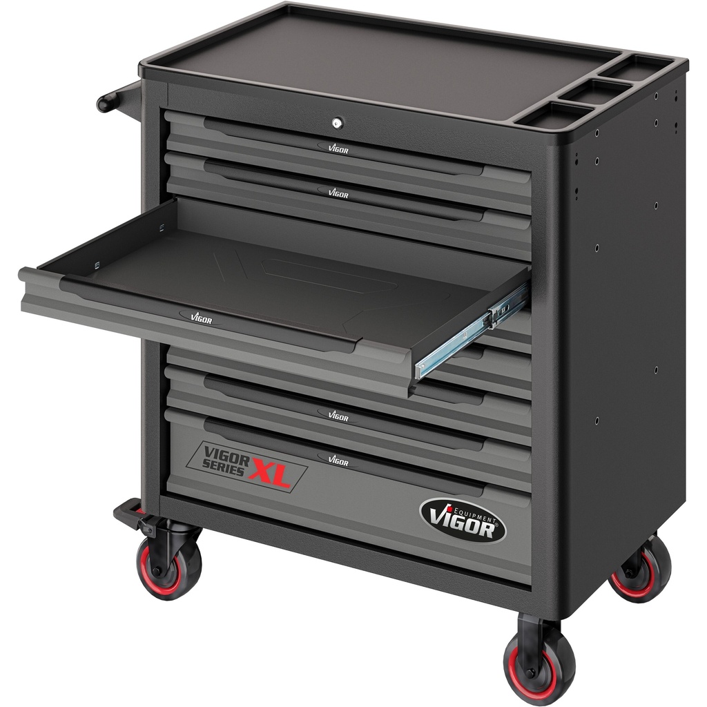 Series XL V5434, VIGOR (6)