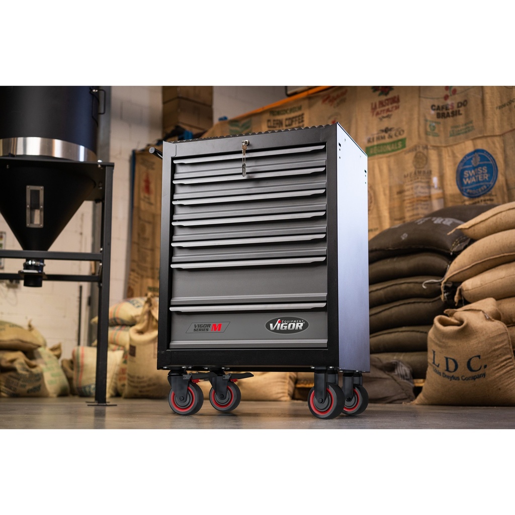 Series M V5489, VIGOR (3)