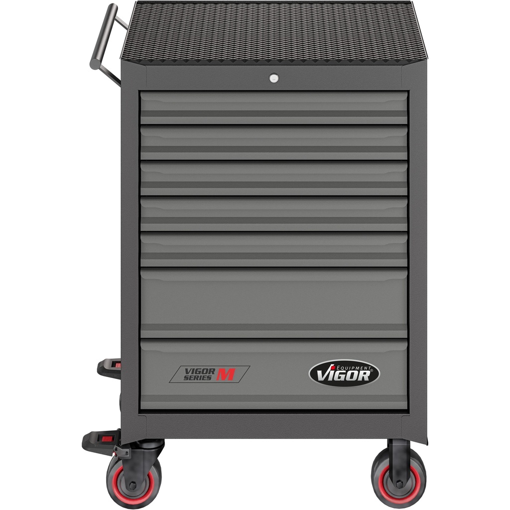 Series M V5489, VIGOR (5)
