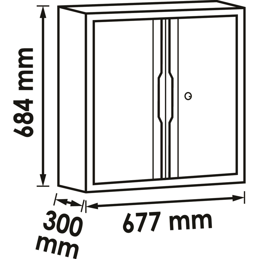 Double hinged-door wall cabinet V6000-04 (2)