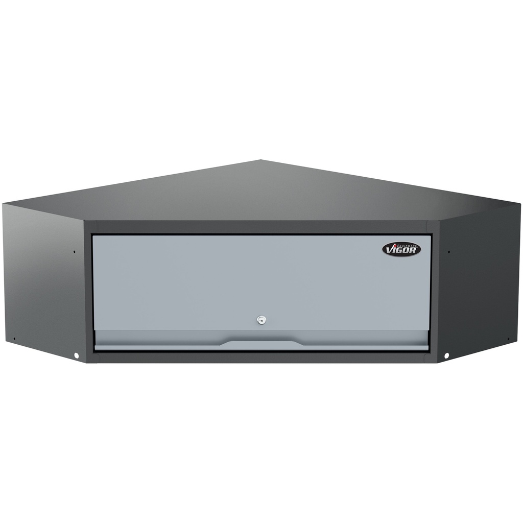 Corner wall cabinet V6000-058, VIGOR (5)