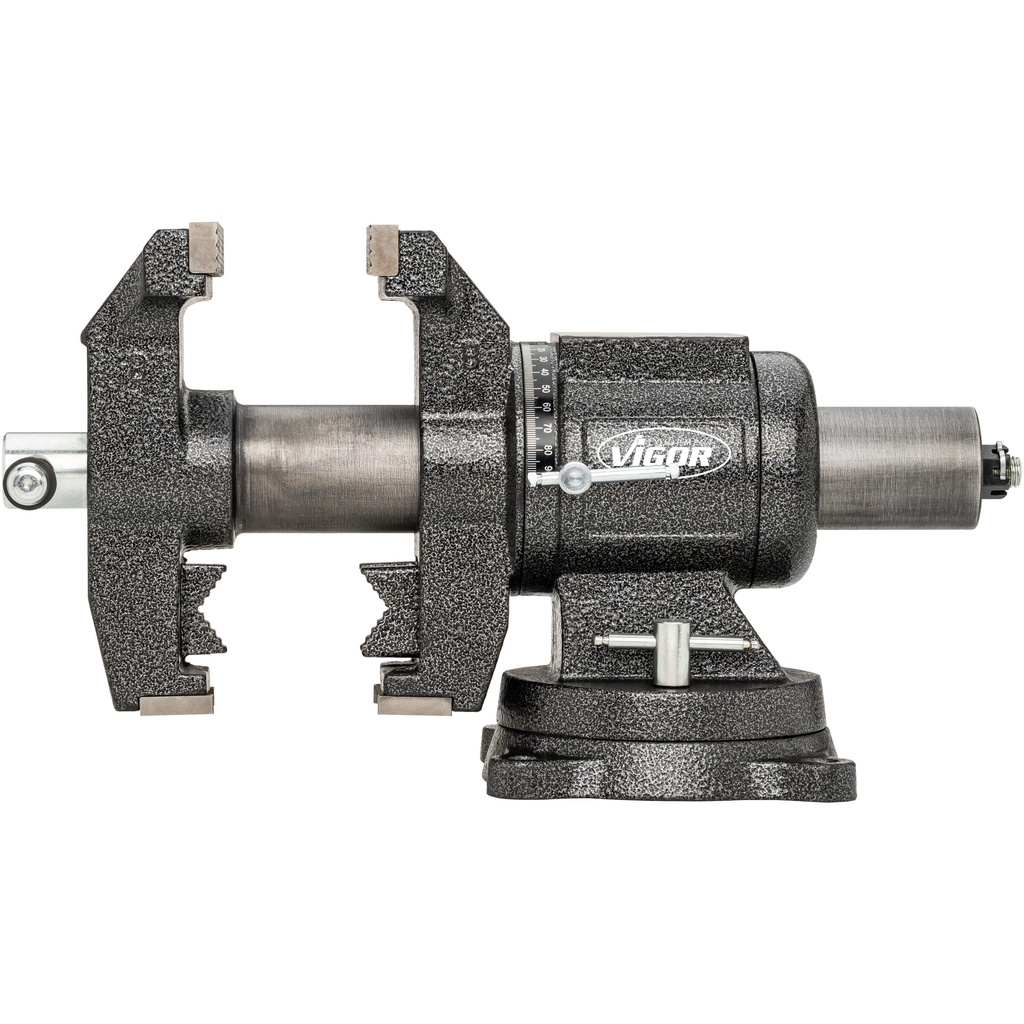 Vice V6150N, VIGOR (4)