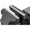 Vice V6150N, VIGOR (5)