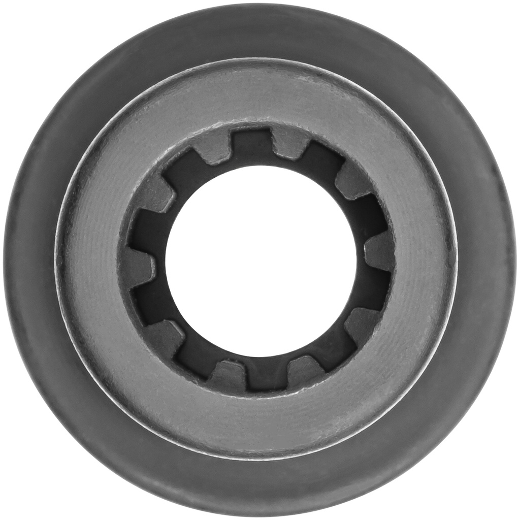 Socket V6635, VIGOR (2)