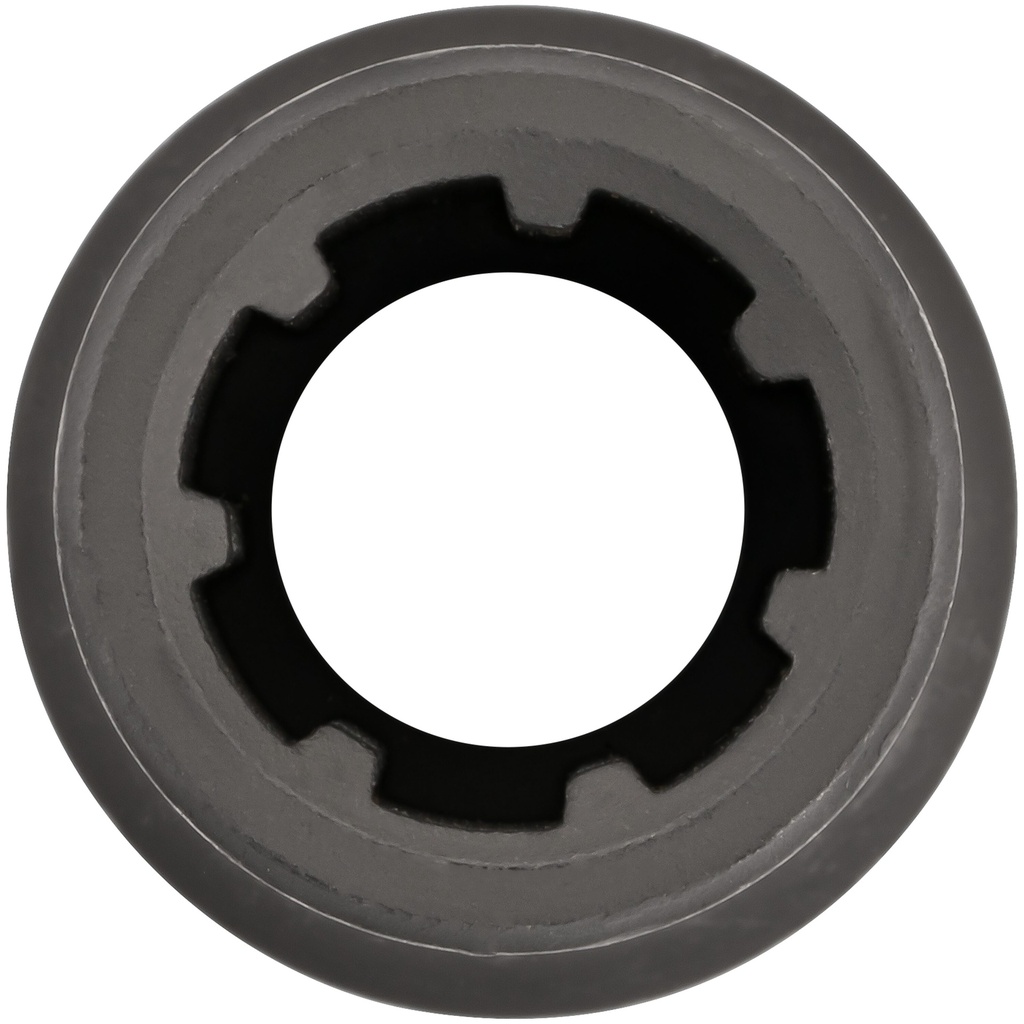 Socket V6636, VIGOR (2)