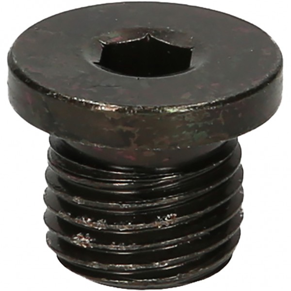 Alyvos išleidimo varžtas Audi, vidinis 6-briaunis 6 mm, M14x1,5x9 mm, 25 vnt. (430.2022, KS TOOLS)