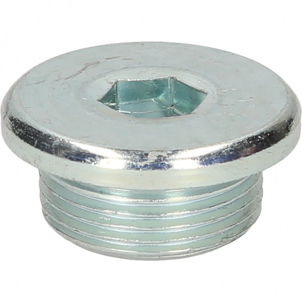 Eļļas noliešanas skrūve VW / Audi / Seat / Skoda, iekšējais 6-stūris 10 mm, M24x1,5x9 mm, 25 gab. (430.2023, KS TOOLS)