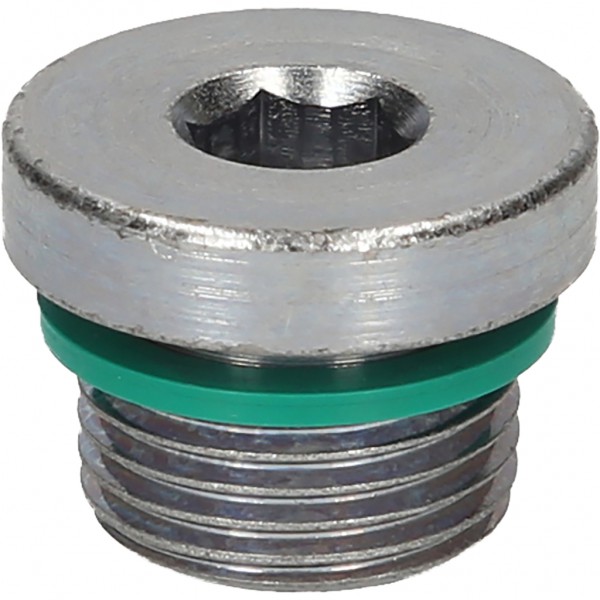 Alyvos išleidimo varžtas VW / Audi / Seat / Skoda, M18x1,5x9 mm, 25 vnt. (430.2036, KS TOOLS)