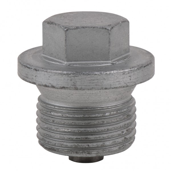 Alyvos išleidimo varžtas Porsche, išorinis 6-briaunis 15 mm, 25 vnt. (430.2226, KS TOOLS)