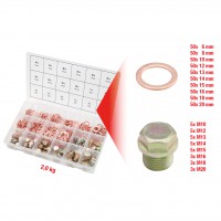 Kartera skrūvju un blīvgredzenu sortiments, 534 gab. (970.0200, KS TOOLS)