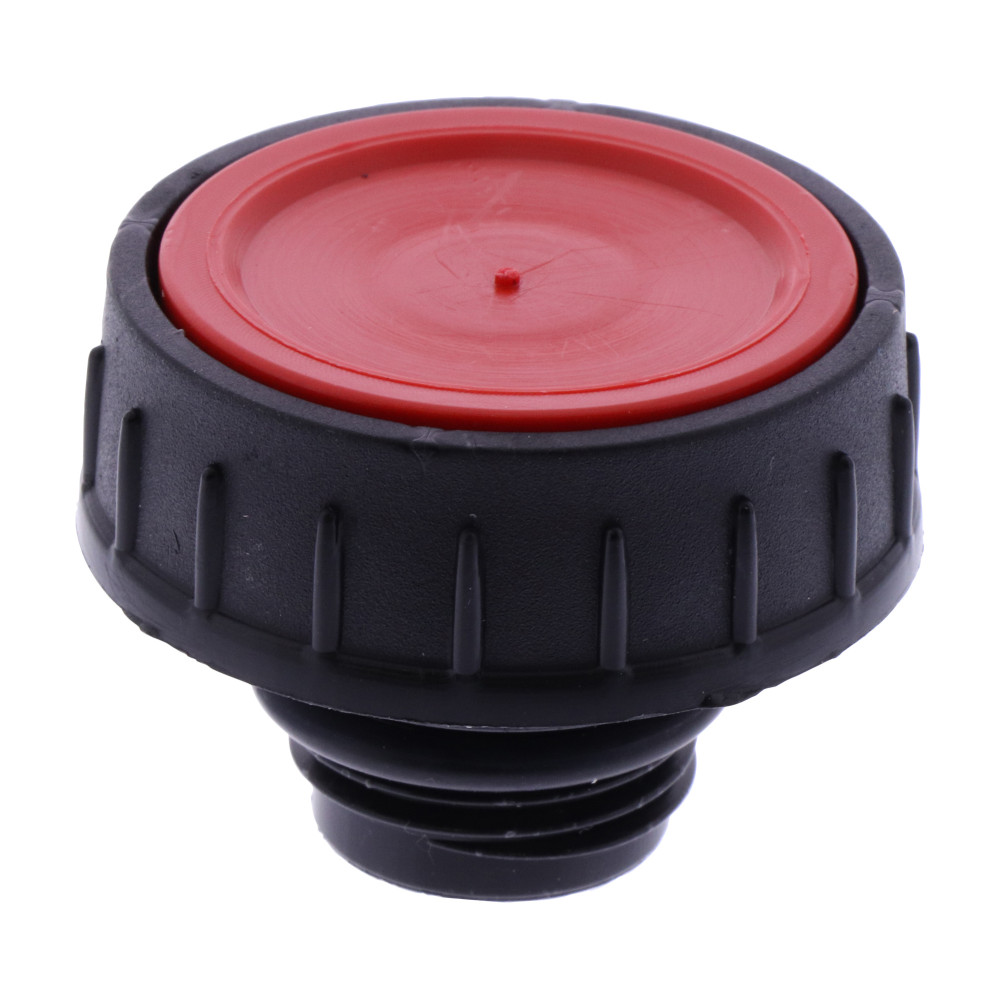 Tank plug with thread (ROT-200678000830, RAVAGLIOLI)