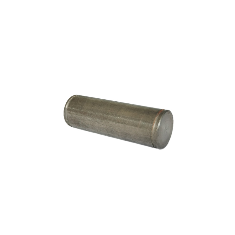 Safety latch pivot pin x1 (048413111, RAVAGLIOLI)