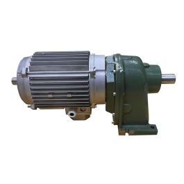 Compact motor reducer (250010700, RAVAGLIOLI)