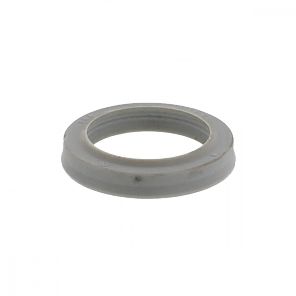 NSW 30x40x6 seal (416501, RAVAGLIOLI)