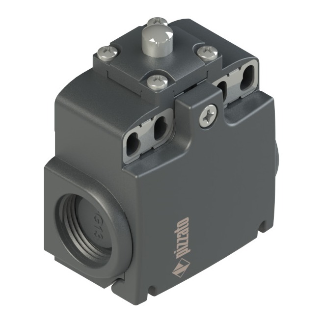 Limit switch FX501A (527051, RAVAGLIOLI)