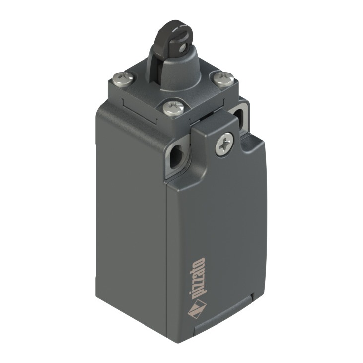 Limit switch FR615A (527053, RAVAGLIOLI)