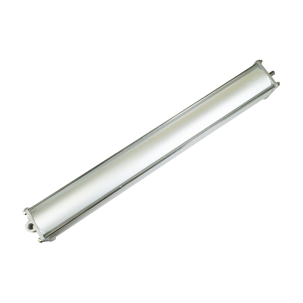 Pneumatinis cilindras 100x540x25 (7108904700, RAVAGLIOLI)