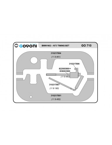 Paskirstymo fazių įrankių rinkinys BMW 3.6, 4.0, 4.4, 4.8, 6.0 benzininiams varikliams (GO710, GOVONI)