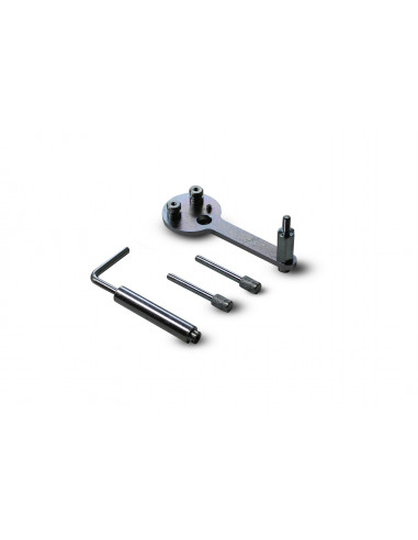 Timing tool set suitable for ford (GO869, GOVONI)