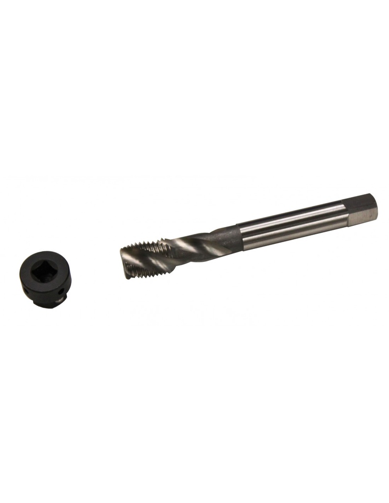 Male set and magnetic male holder adapter m14x1.5 (GO957, GOVONI)