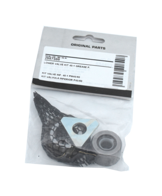 Apatinio vožtuvo rinkinys siurbliams 25745-46 ir 25787-88 (2557388, EUROLUBE)