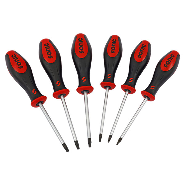Torx atsuktuvų rinkinys (6vnt) 