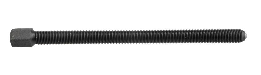 Atsarginis sraigtas universaliam nuėmikliui POLYP E, dydis 2 M14×1,5 (1042320, PICHLER)
