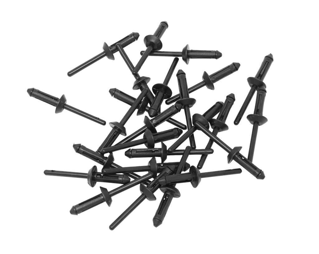 Plastikinės kniedės Ø5,0 x 15,8 mm, 25 vnt. (12455050, PICHLER)