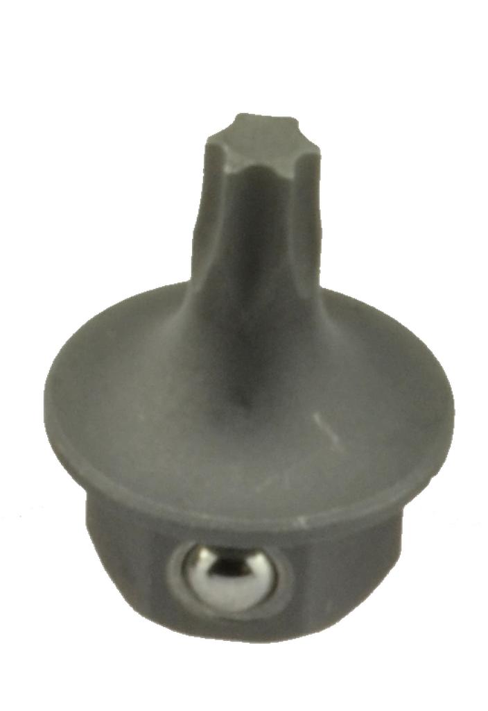 Specialus Torx antgalis T30, Mod. AB, pavara SW13 (57500300, PICHLER)