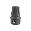 Special Torx Insert T55, Mod. AB, SW13 Drive (57500550, PICHLER)