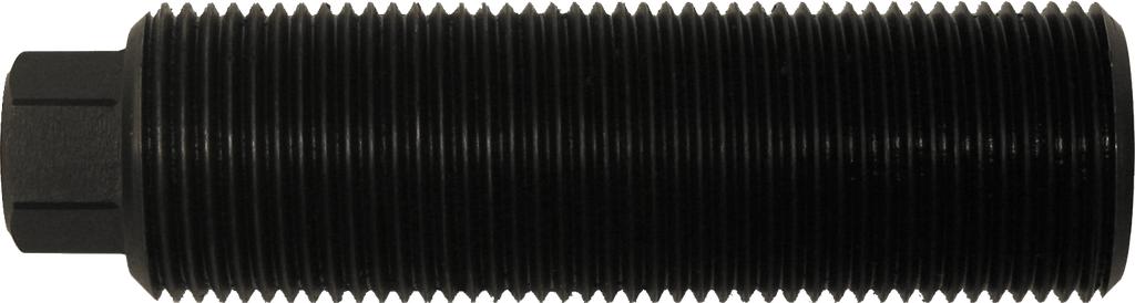 Sriegstypis M20x1,5, ilgis 68,5 mm (60383091, PICHLER)
