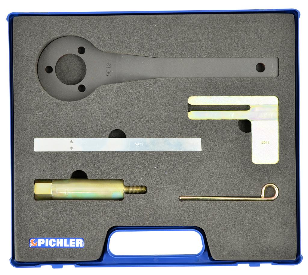 Gāzes sadales instruments BMW, Mini, PSA (ķēde, balansvārpstas fiksēšana) (60396300, PICHLER)