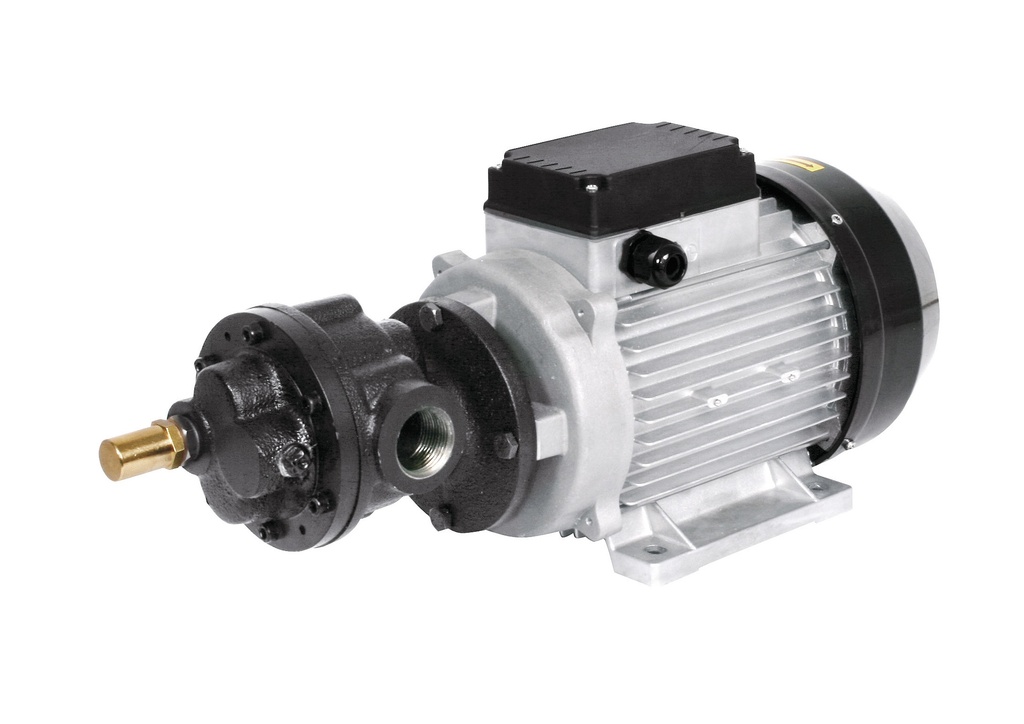 Elektriskais eļļas sūknis 230 V, 70 l/min (61611, EUROLUBE)