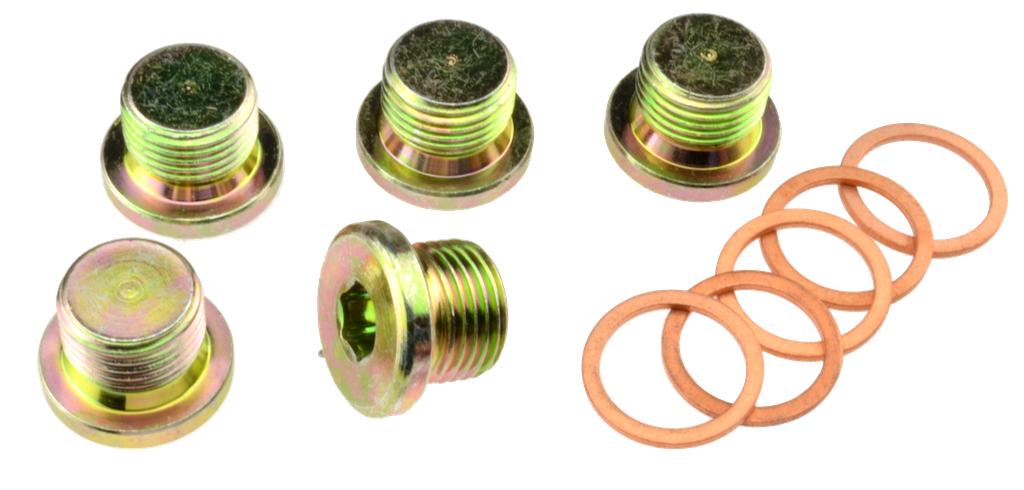 Oil Drain Plugs M17x1.5x16 mm with Copper Sealing Rings, 5 pcs (61251710, PICHLER)