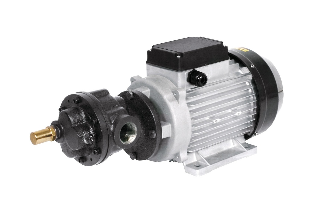 Elektriskais eļļas sūknis 230 V, 50 l/min (61614, EUROLUBE)